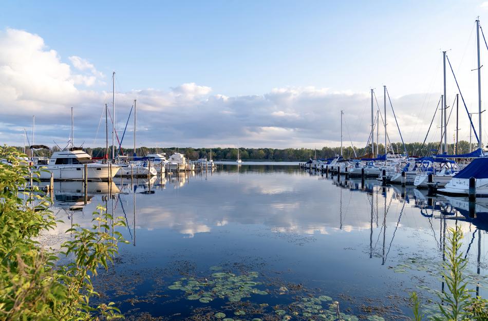 bay setting with ships on each side